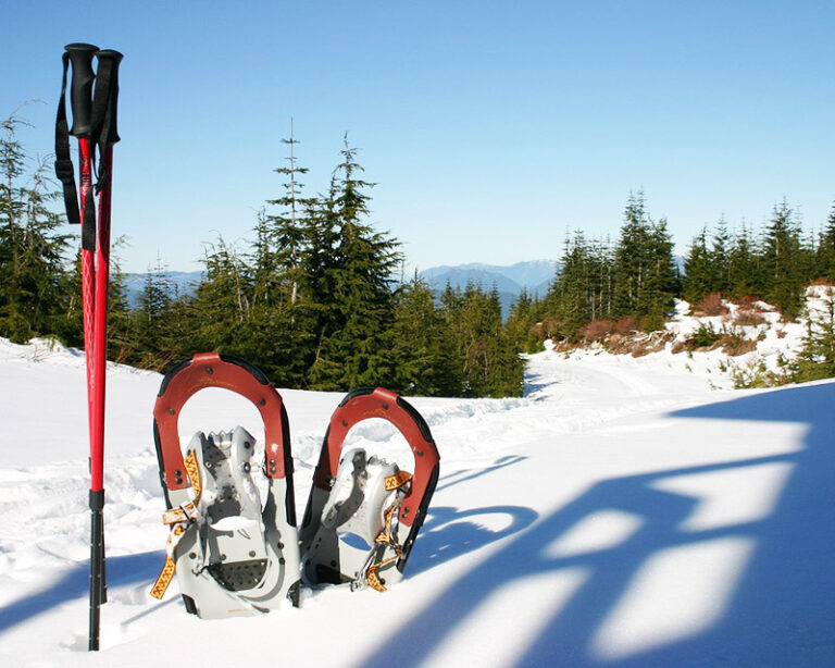 Randonnée raquettes pour profiter de la nature