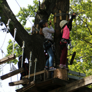 Design sans titre (2)