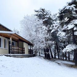 Hébergement en chambres, gîtes ou chalets