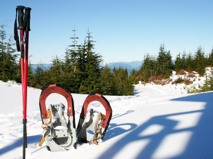 Randonnée raquettes pour profiter de la nature