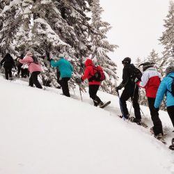 Séjour rando raquettes au village vacances à Montclar