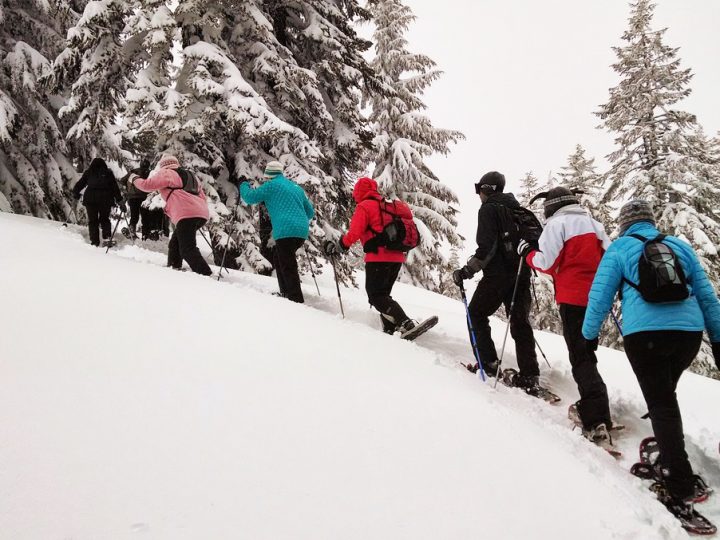 Randonnée en raquettes à Seyne les Alpes