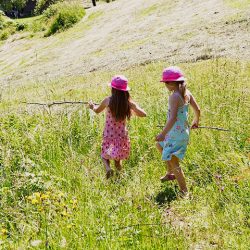 découverte de la montagne, la faune et la flore