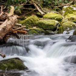 Randonnée vers les torrents séjour H2O