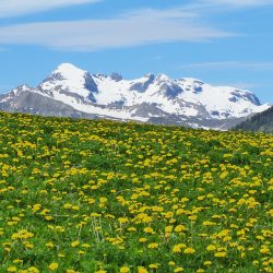 web-Pixabay-randonnée-printanière-pb