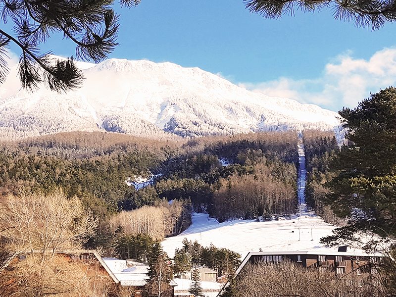 web-Vue-des-chalets-Azur-et-Neige-Montclar