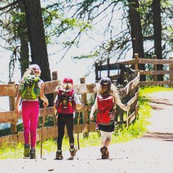 Séjour Nature et Montagne, randonnée