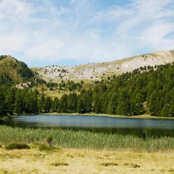 web-randonnée-lac-du-col-bas-dormillouse-IMG_6141